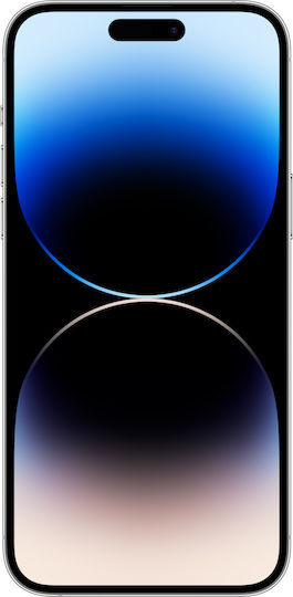 xlarge_20240313154820_55223f7e